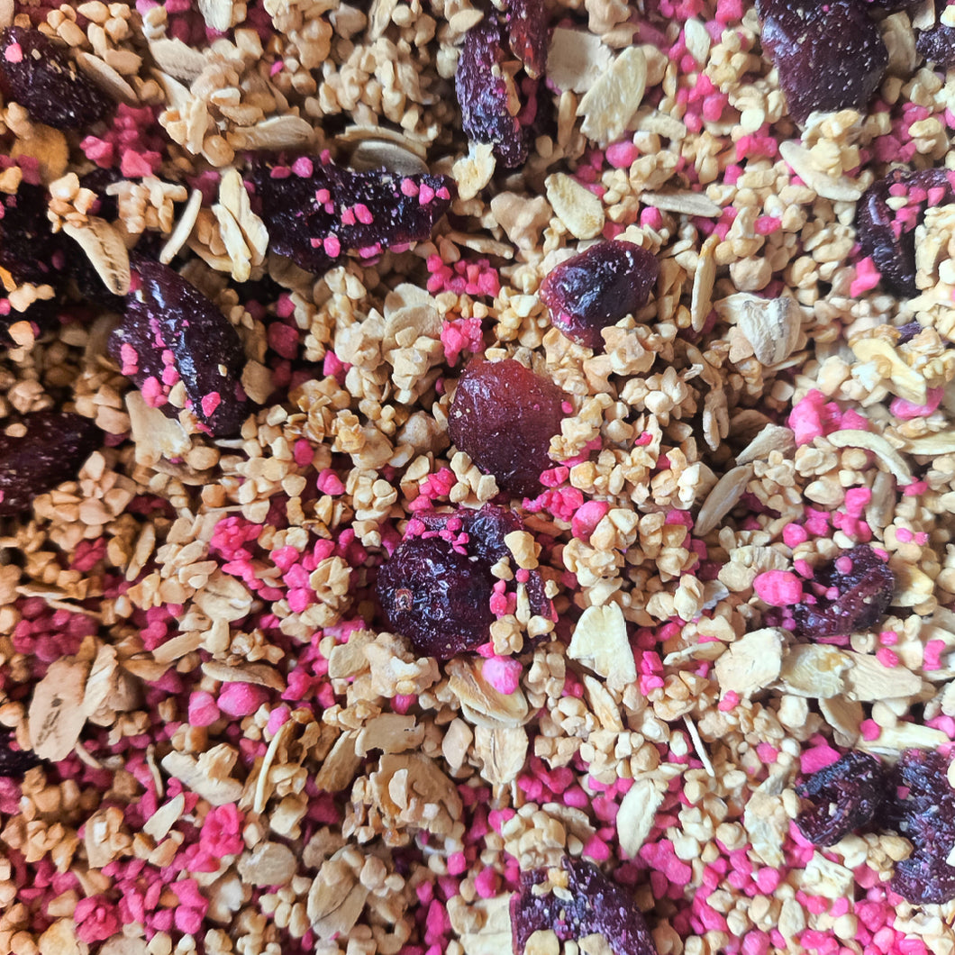 Muesli croccante cranberries (1 KG)